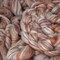 Designer Blend Merino, Baby Alpaca and BFL Tweed Top Roving. Fancy, Colorful, Exotic - Limited Edition.
